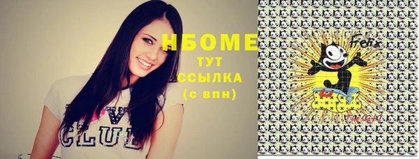 тгк Пестово