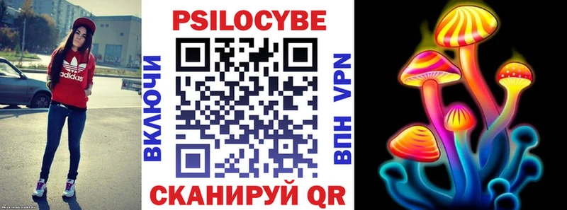 shop как зайти  omg ССЫЛКА  Мичуринск  Псилоцибиновые грибы мухоморы 