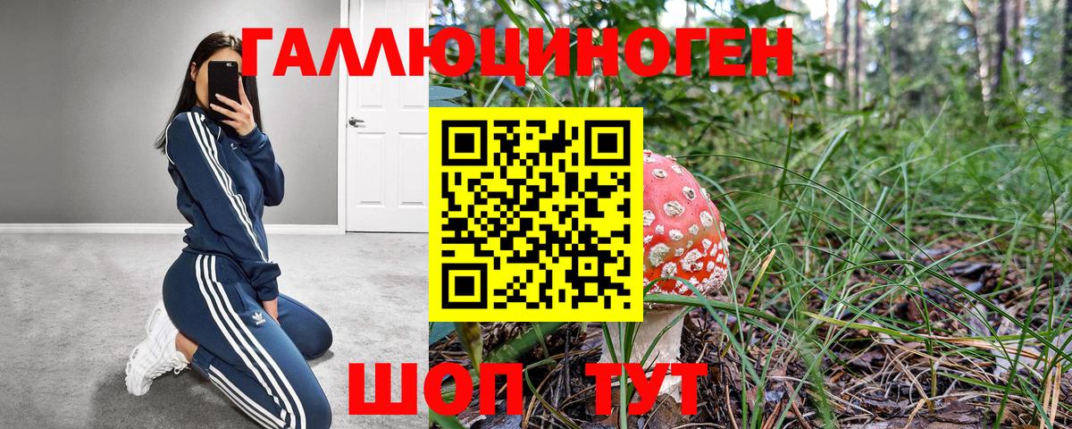 Галлюциногенные грибы Psilocybine cubensis Мичуринск
