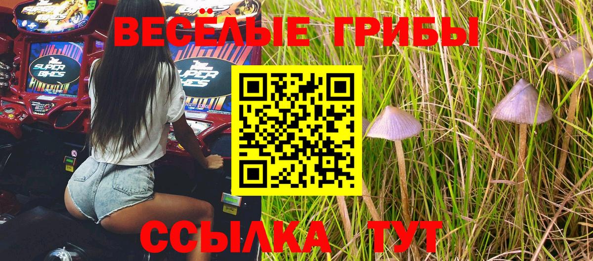 Мичуринск  Псилоцибиновые грибы Magic Shrooms  Вход с VPN  Галлюциногенные грибы мицелий 