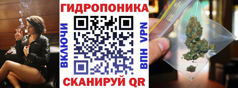 Конопля сатива  Мичуринск 